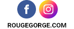 Les réseaux sociaux